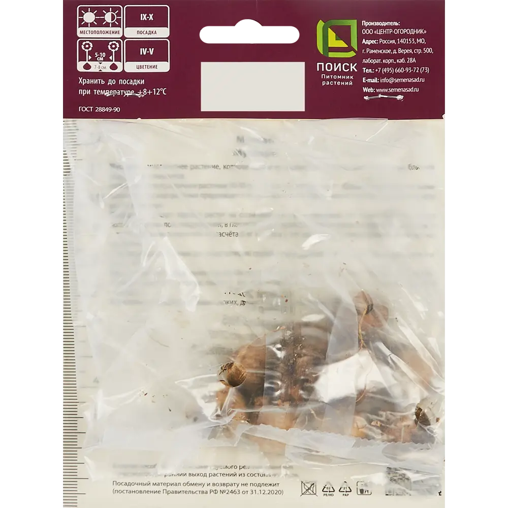 Мускари широколистный ПОИСК - 10 луковиц для яркого сада 85205631 STLM-1570964 - Вид №1