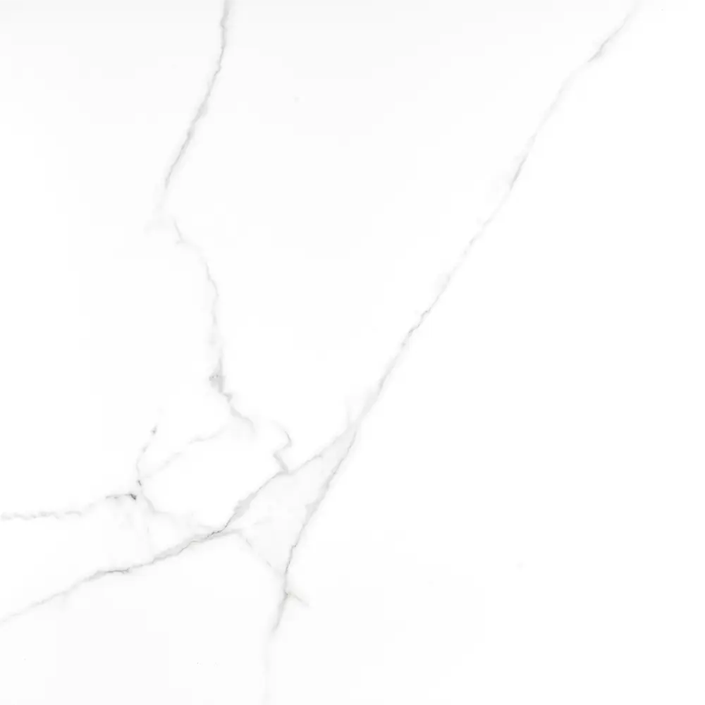 Керамогранит Laparet Atlantic 60x60 см 1.44 м² матовый цвет белый Atlantic White STLM-2060691