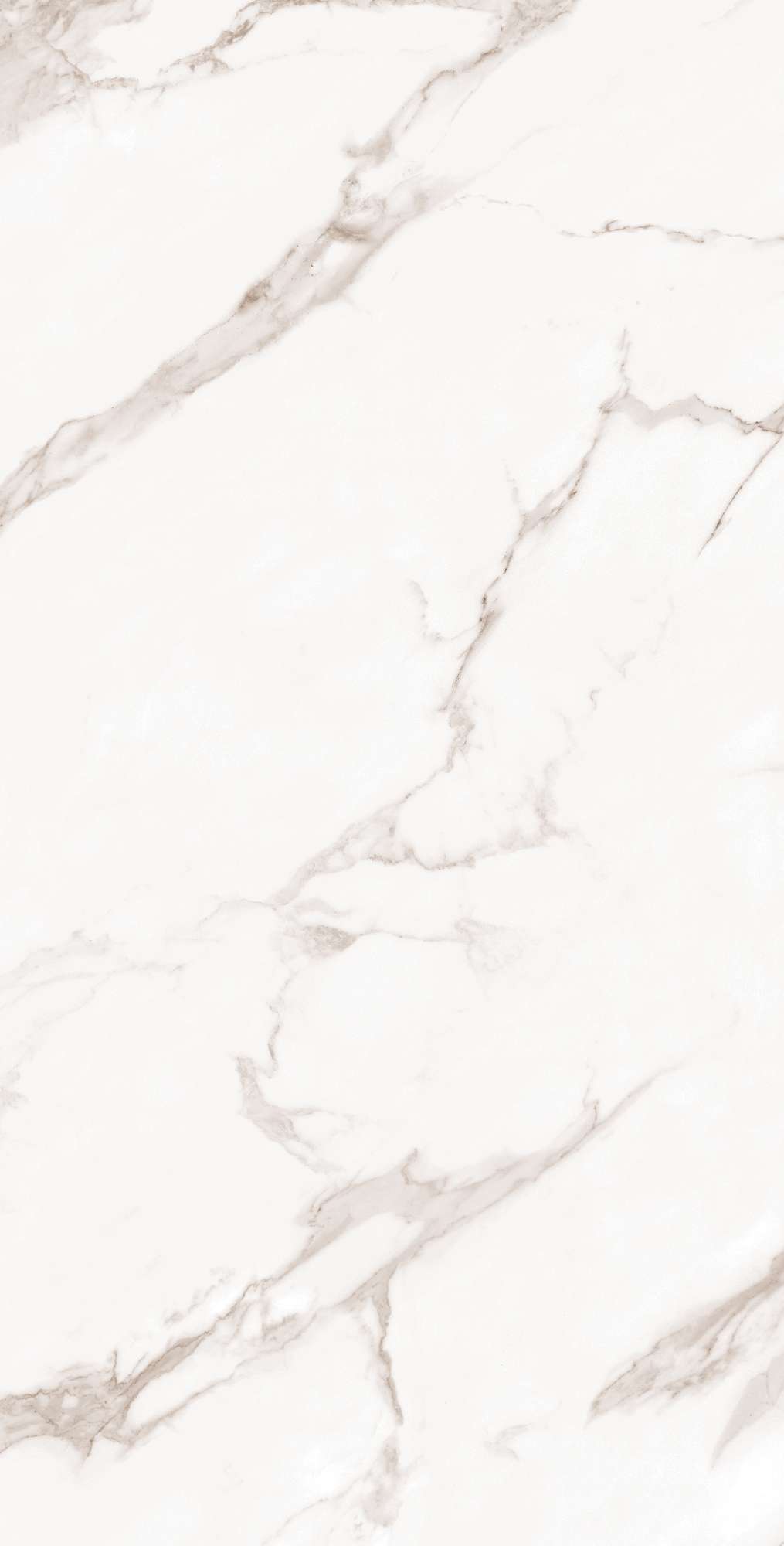 Керамогранит CALACATTA BIANCO 60х120 Arcadia Ceramica FP1019-A - Вид №7