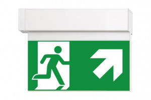 DST-4053 Ikus 2211-b Daisalux Светильники и спец. Белый