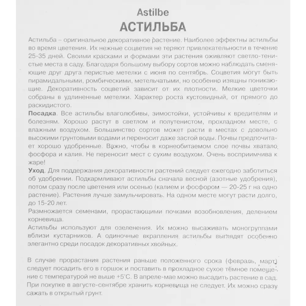 Астильба Арендса Ритм Энд Бит 85205483 STLM-2062461 ПОИСК  - Вид №2