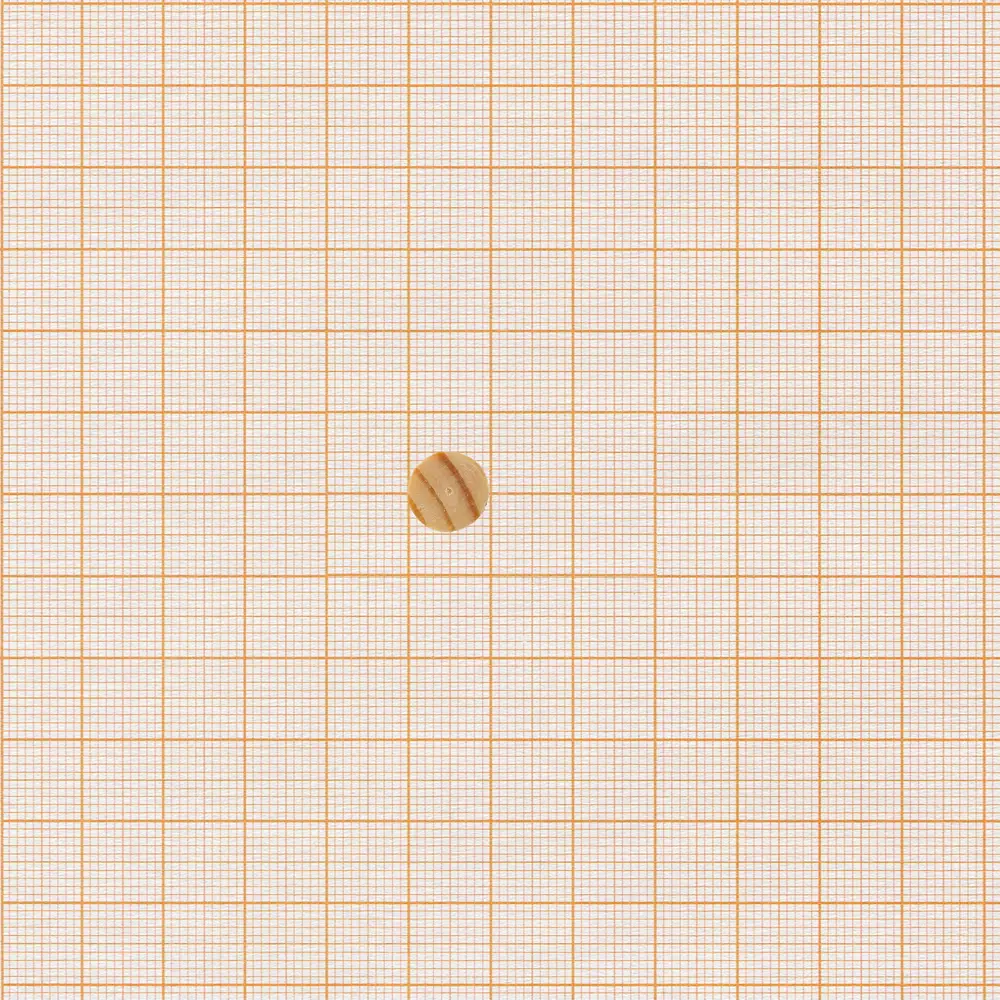 Деревянная заглушка Европартнер для мебели и лестниц ø10 мм 89395553 STLM-1426388 - Вид №2