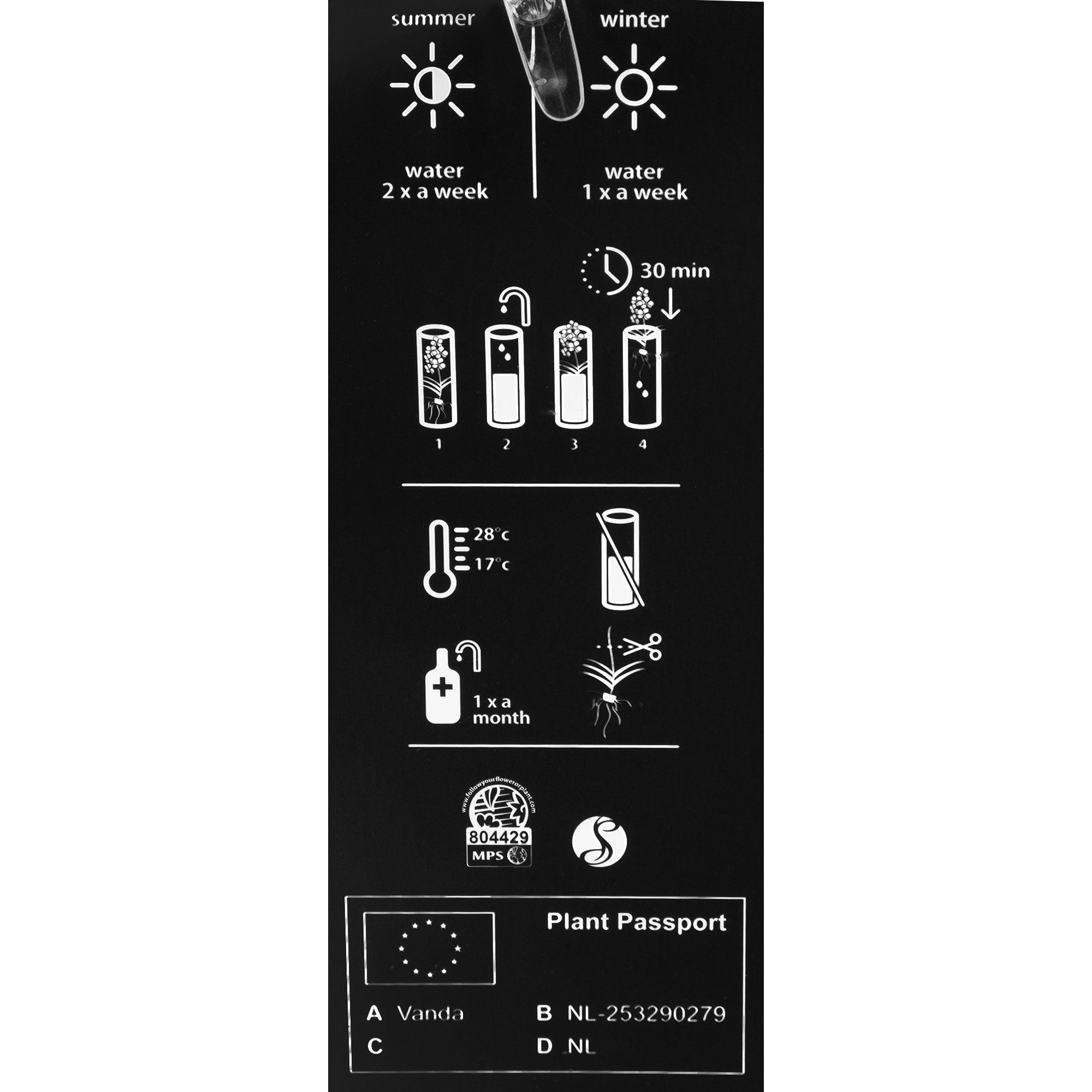 82579665 Орхидея Ванда в стекле ø15 h40 см Santreyd  - Вид №2