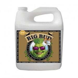 4140 Big Bud Coco Liquid 0.5L LAB.Space