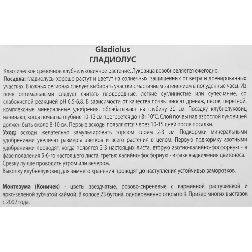 Гладиолус Монтезума, 3 шт 86410012 STLM-2147627 ПОИСК  - Вид №2