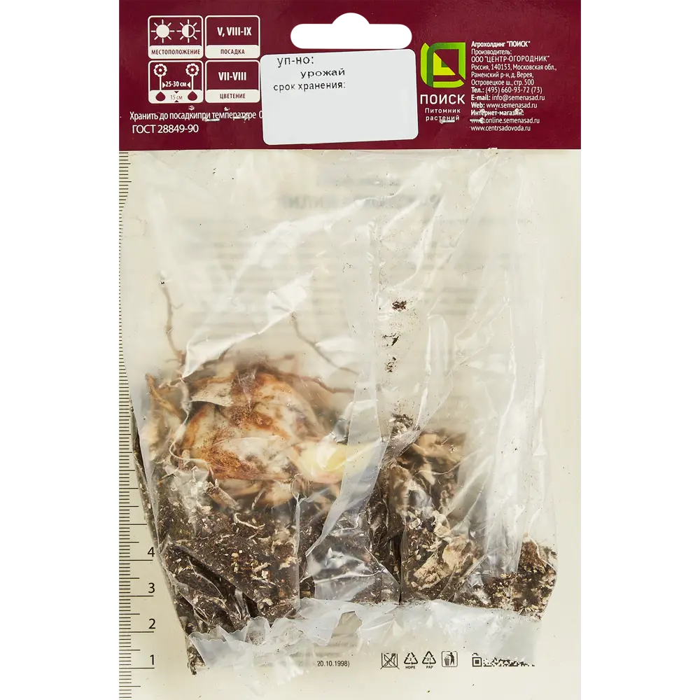 Лилия азиатская Тренди Дакота,1 шт ПОИСК STLM-2112438 - Вид №1