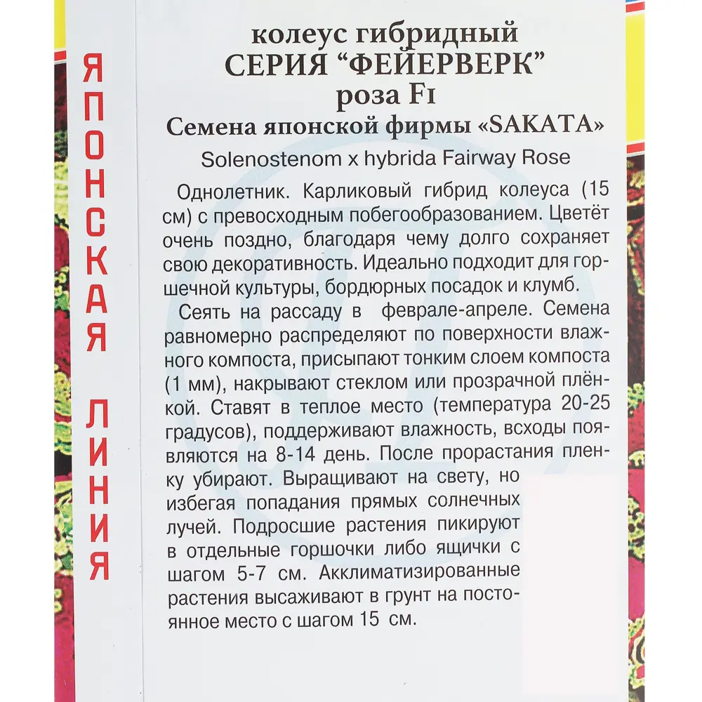 Колеус «Фейерверк Роза F1» 13895261 STLM-2211577 Santreyd  - Вид №2