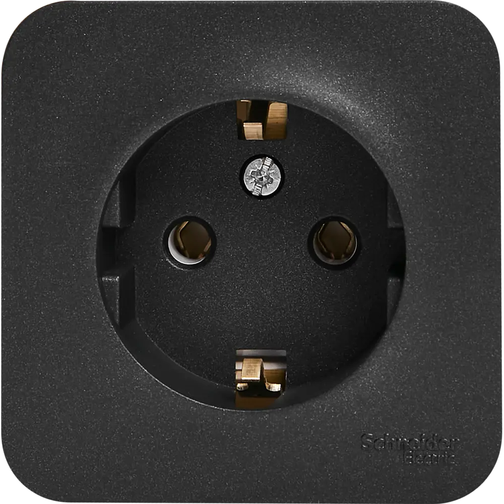 Розетка накладная Schneider Electric Blanca с заземлением цвет антрацит SYSTEME ELECTRIC STLM-2133313