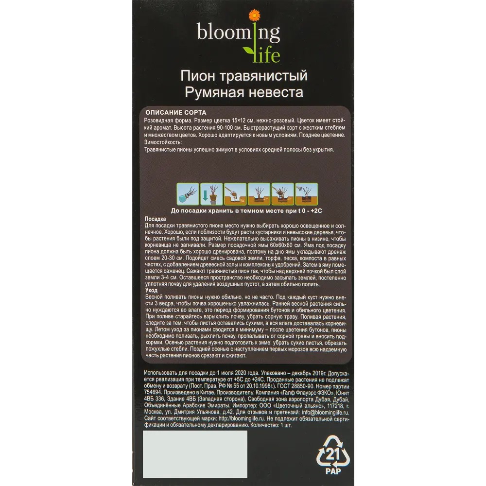 Пион травянистый Румяная невеста в тубе BLOOMING LIFE STLM-2133480 - Вид №1