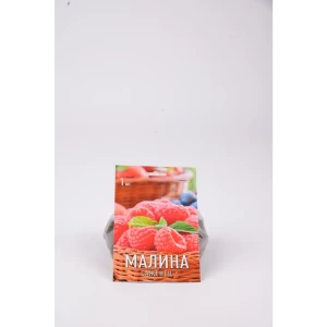 Малина рубиновое Ожерелье h17 см 83791473 STLM-2208337
