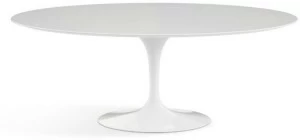 KNOLL Овальный стол со столешницей из ламината и алюминиевым основанием Tulip