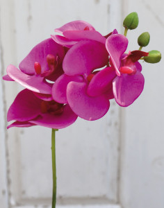 2601 420 a3 Искусственная орхидея Phalaenopsis, 37 см, real touch soft, вишневый цвет H-andreas
