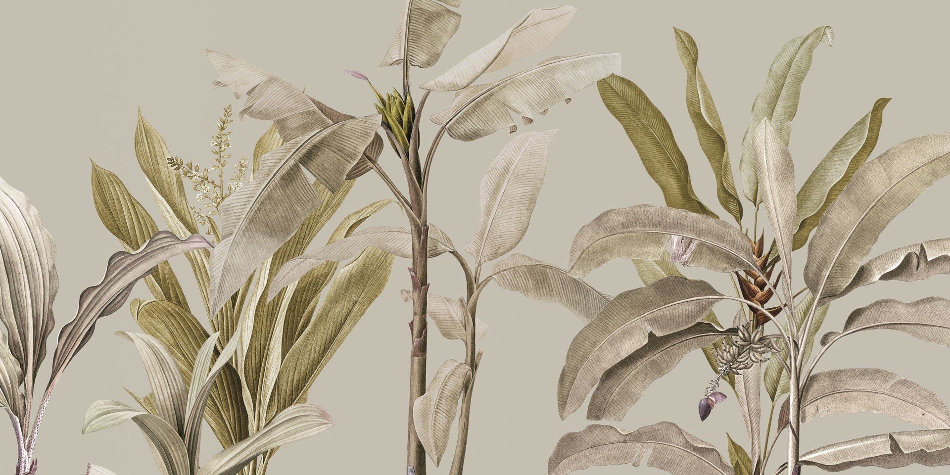 Тропические панорамные обои Rimura 2020 ARCH-00003216 - Вид №2