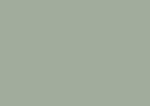 90055368 Пленка самоклеящаяся Уни мат Шалфейно-зеленый RAL 6021 3261-200 0,45х15м STLM-0096102 D-C-FIX