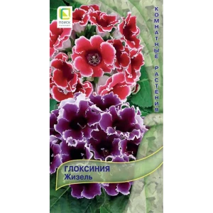 Семена Глоксиния «Жизель» 83227400 STLM-2064960