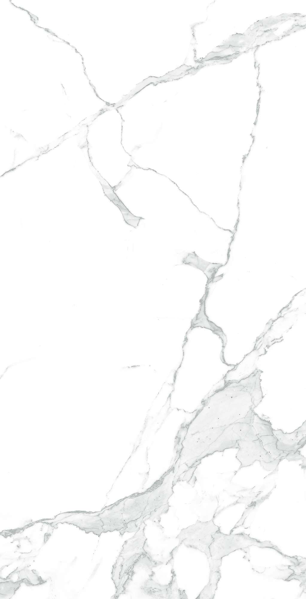 Керамогранит PARADISE STATUARIO 60х120 Arcadia Ceramica CR4003-A STLM-2175396 86386330 - Вид №4