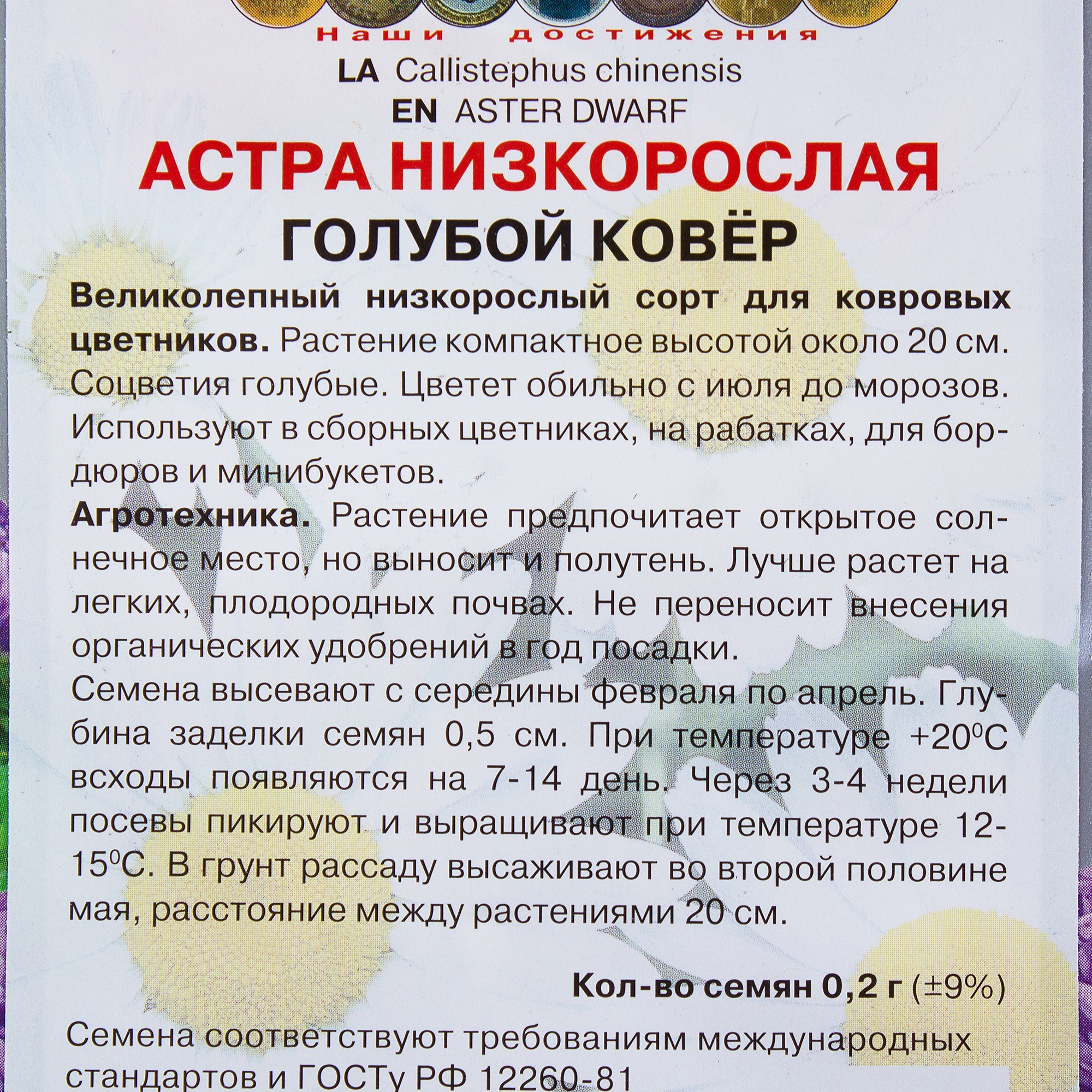 Астра низкорослая «Голубой ковёр» Santreyd - компактный однолетник для сада 17229469 STLM-0007712 - Вид №2