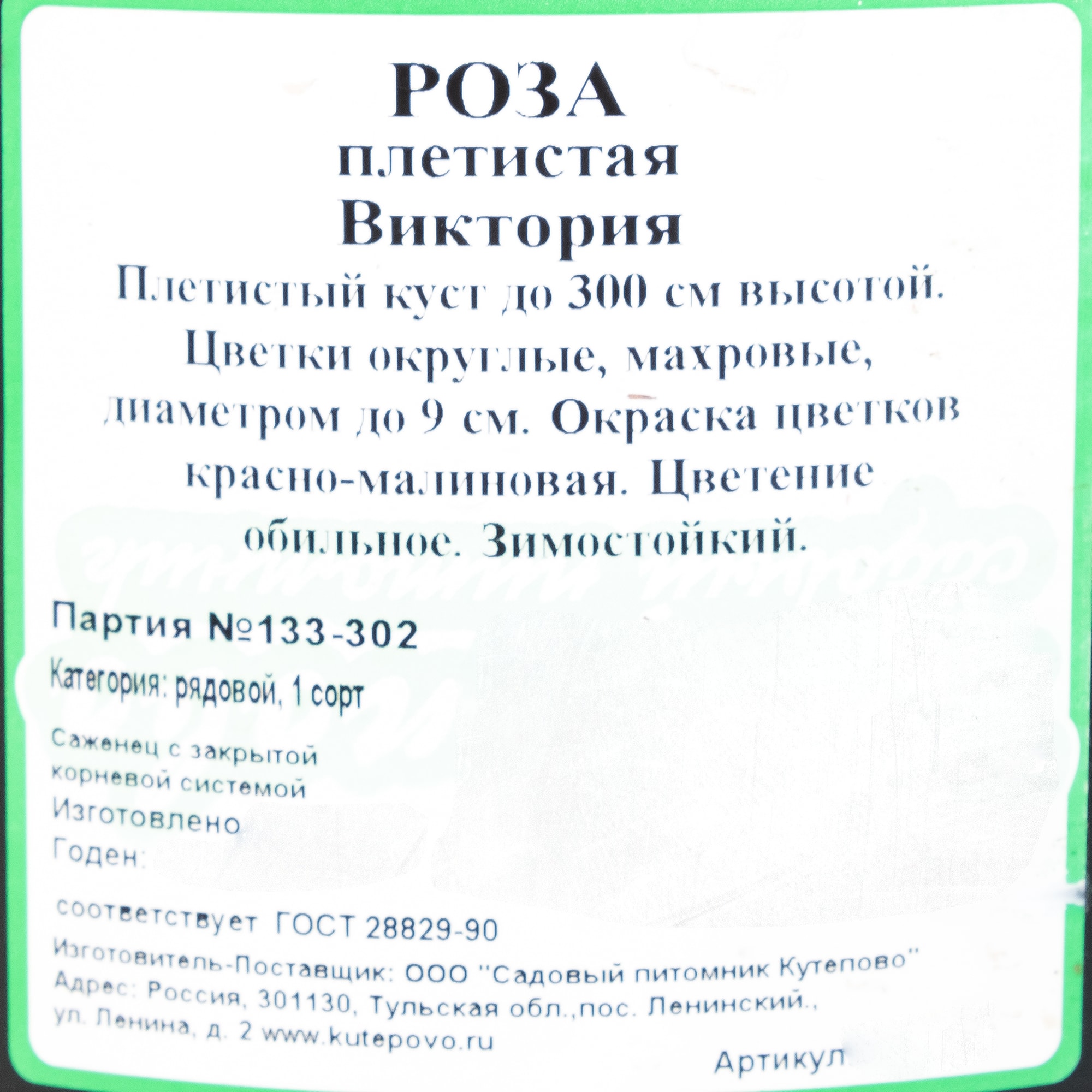 82237661 Роза плетистая «Виктория» С4 Santreyd  - Вид №2