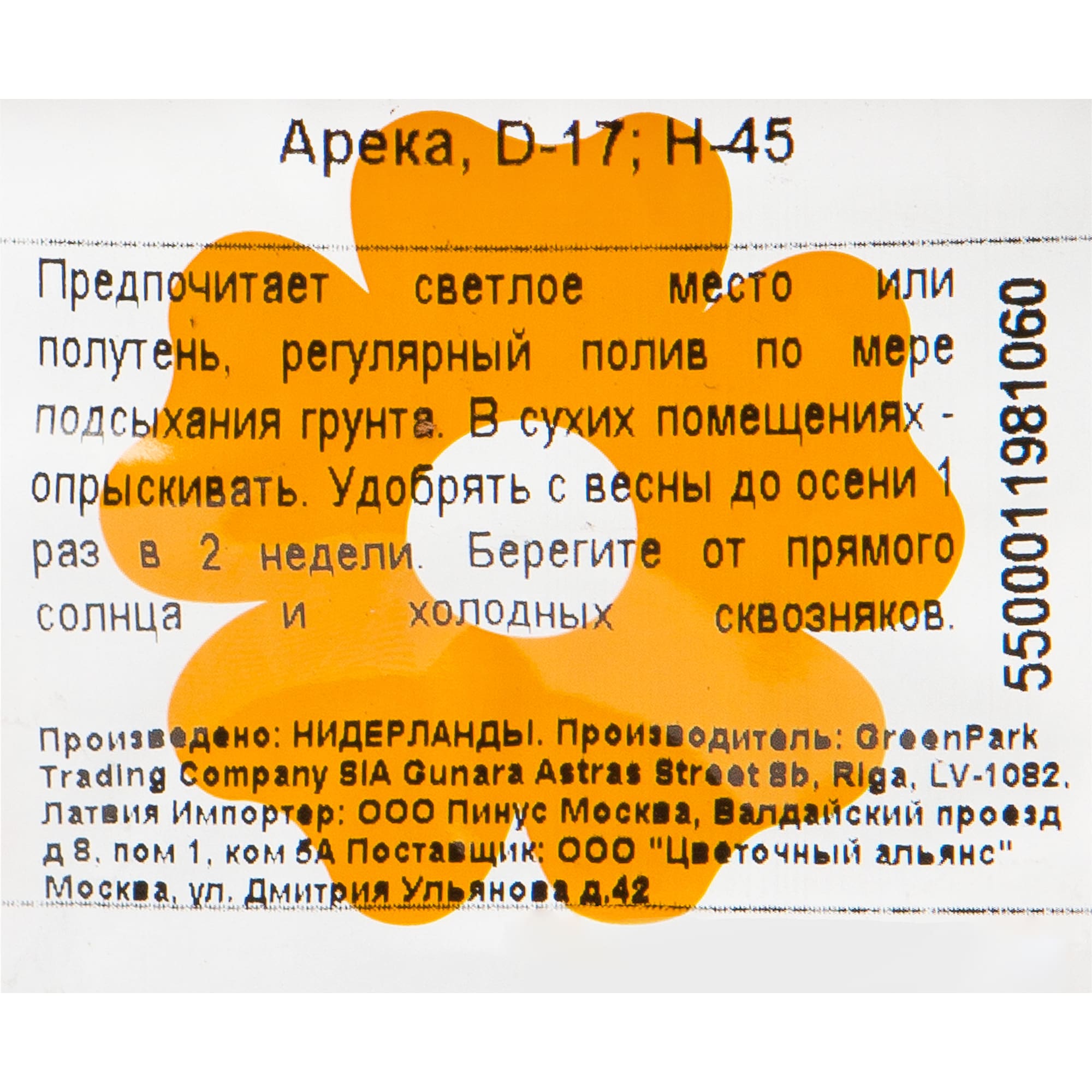 82207291 Арека 17х45 см Santreyd  - Вид №2