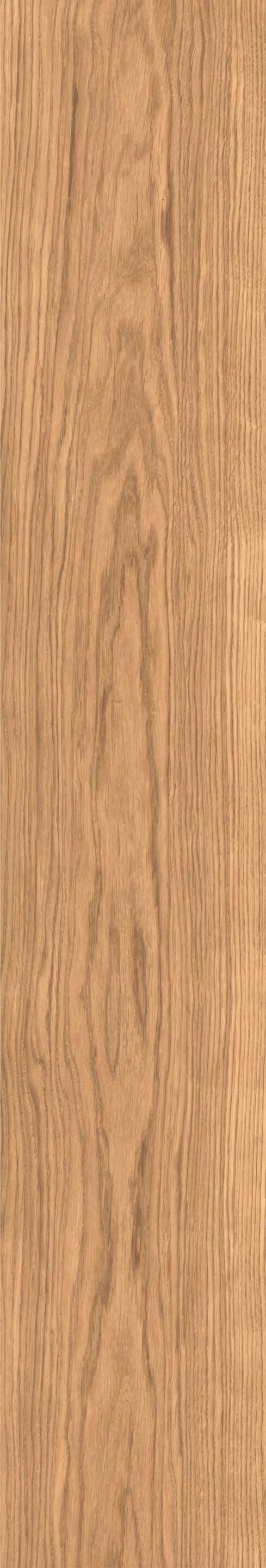 Пол из глазурованной керамогранита под дерево Ceramica Rondine DREAM ARCH-00032803 - Вид №28