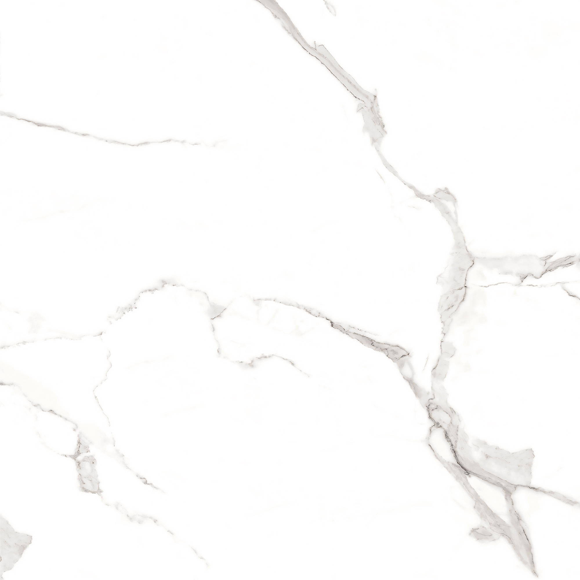 Керамогранит STATUARIO MIRES 60х60 Arcadia Ceramica FP1012-A STLM-1571933 89405719  - Вид №8