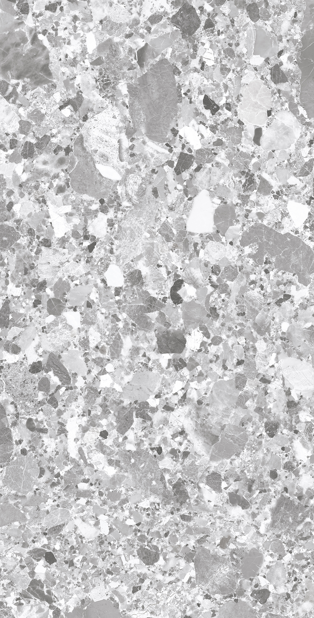 Керамогранит TERRAGONA SILVER 60х120 Creanza SL1004-A  - Вид №5