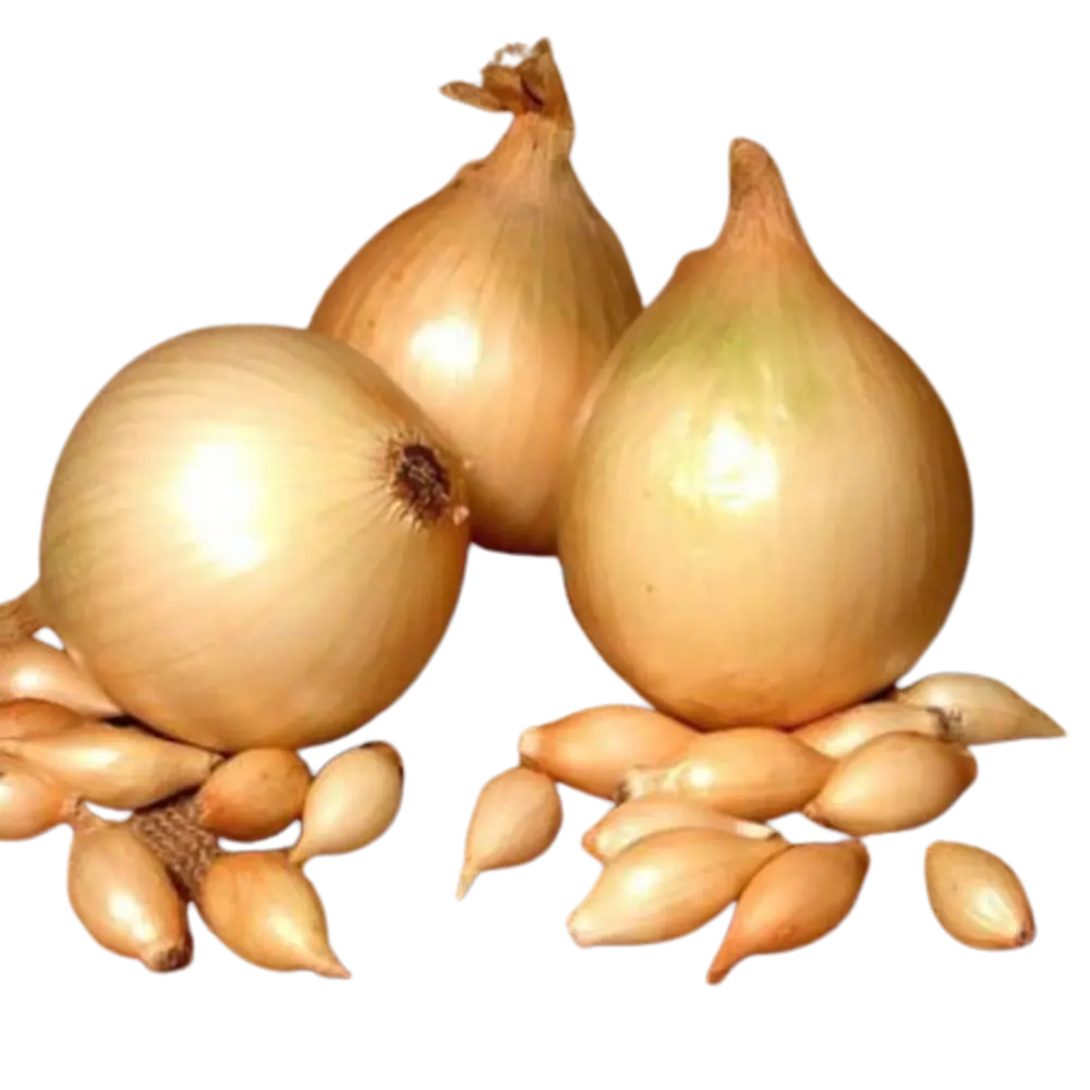 Лук севок Престиж Семена Сеттон 10/21 0.45 кг STLM-2136281