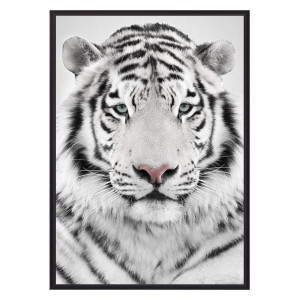 93851621 Постер Белый тигр 07-0259-40х60, 40х60 см STLM-0589949 ДОМ КОРЛЕОНЕ