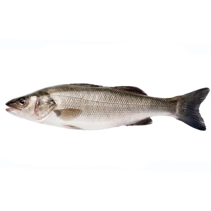 Дикий сибас охлажденный 1 - 2 кг Santreyd 11766 - Вид №1