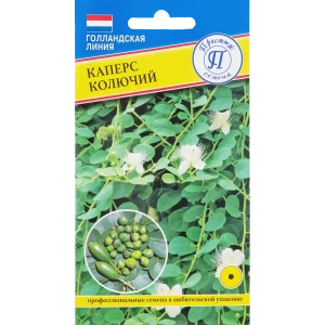 Семена Каперс «Колючий»