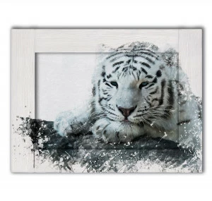 Картина с арт-рамой черно-белая 45х55 см "Белый тигр" ДОМ КОРЛЕОНЕ ЖИВОТНЫЕ 00-3963907 Монохром;черно-белый