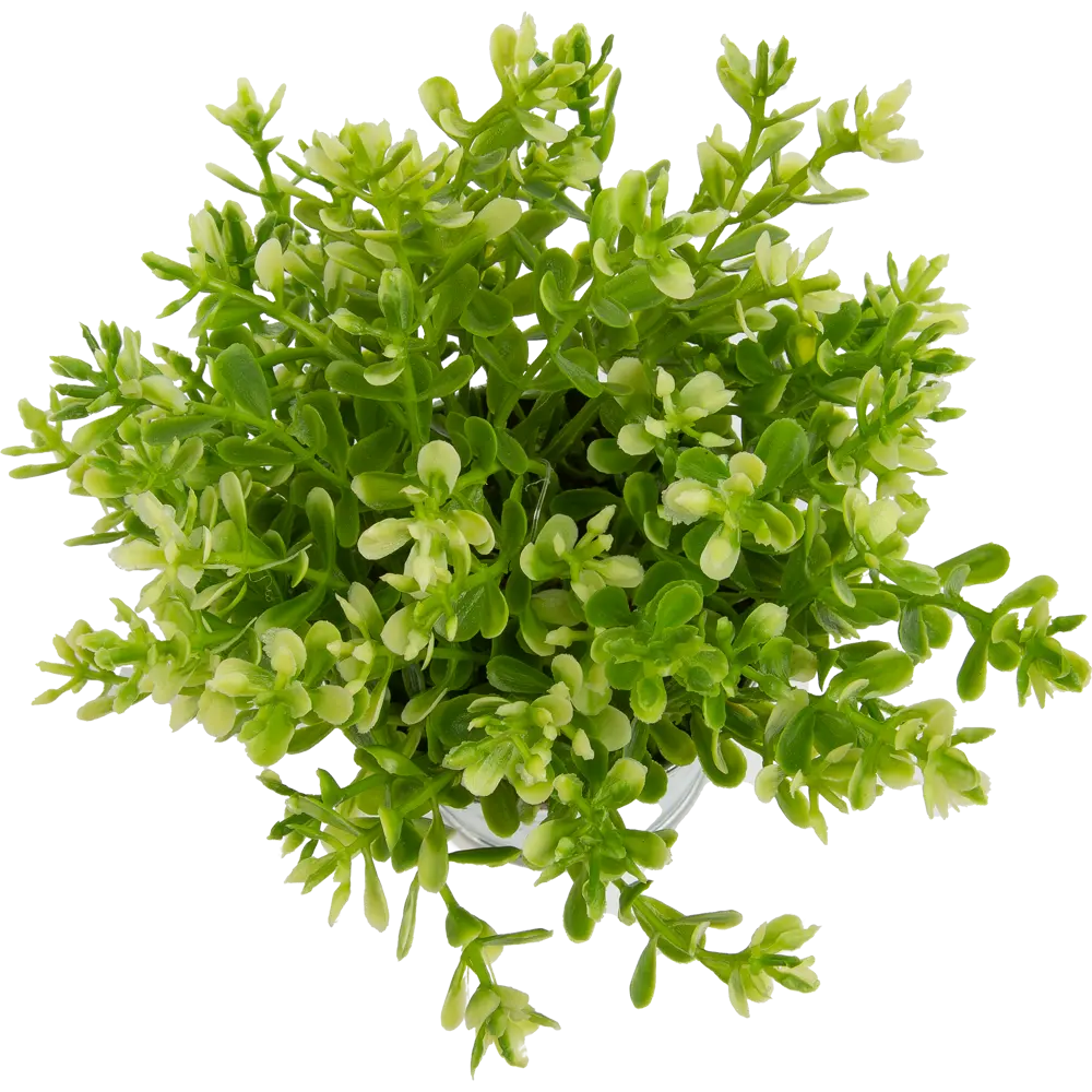 Искусственное растение в металлическом горшке 114754 ø16 h15 см Santreyd STLM-2173474 - Вид №6