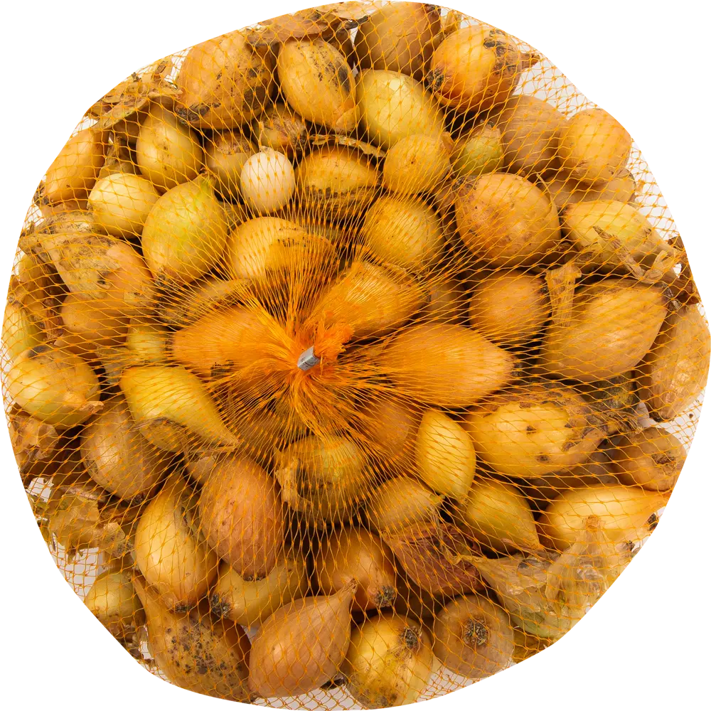 Лук-севок Стурон 10/21 0.9 кг Престиж семена STLM-2082157