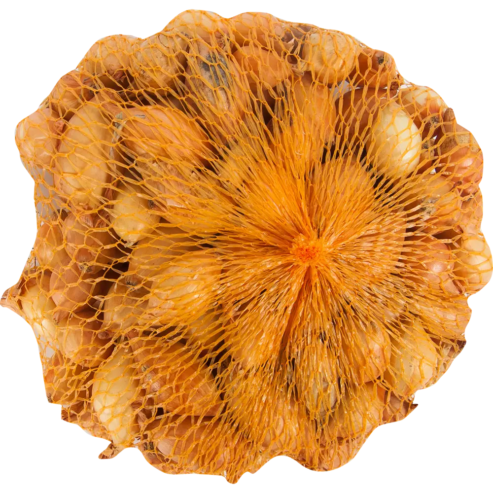 Лук-севок Стурон 14/21 мм 0.45 кг Престиж семена Santreyd STLM-2059933