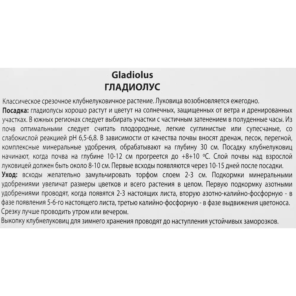 Гладиолус крупноцветковый Хидден Треже, 3 шт. 89351800 STLM-2162237 ПОИСК  - Вид №2