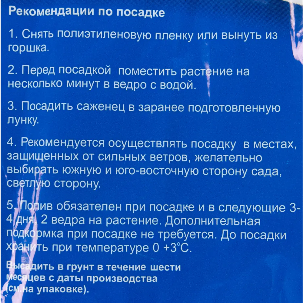 Барбарис оттавский Суперба в пакете БогородскСельхозКомплекс Santreyd STLM-2000278 - Вид №2
