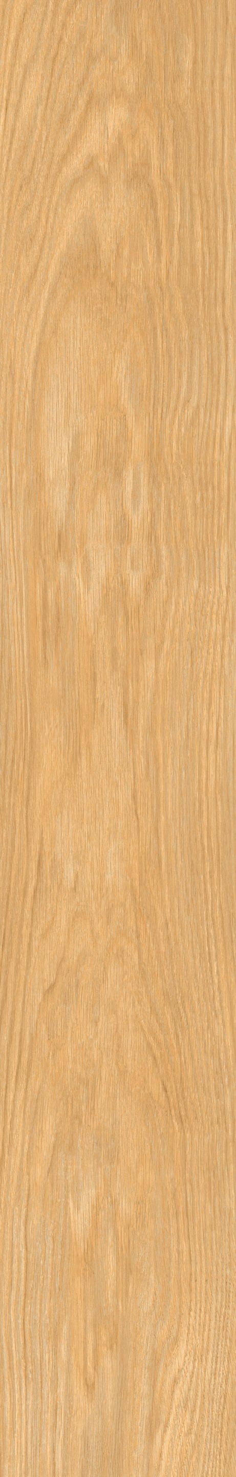 Пол из глазурованной керамогранита под дерево Ceramica Rondine DREAM ARCH-00032803 - Вид №17