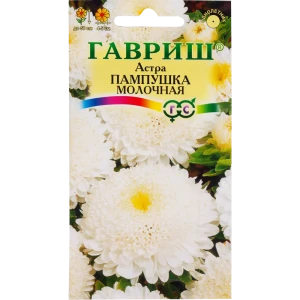 Астра «Пампушка молочная» помпонная, 0.3 г 82097823 STLM-2097524