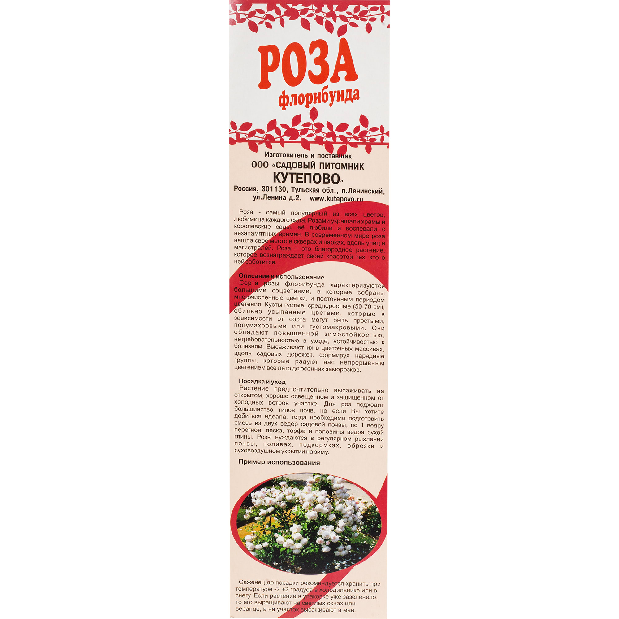 82155317 Роза Флорибунда «Мид Саммер» в коробке Santreyd  - Вид №2