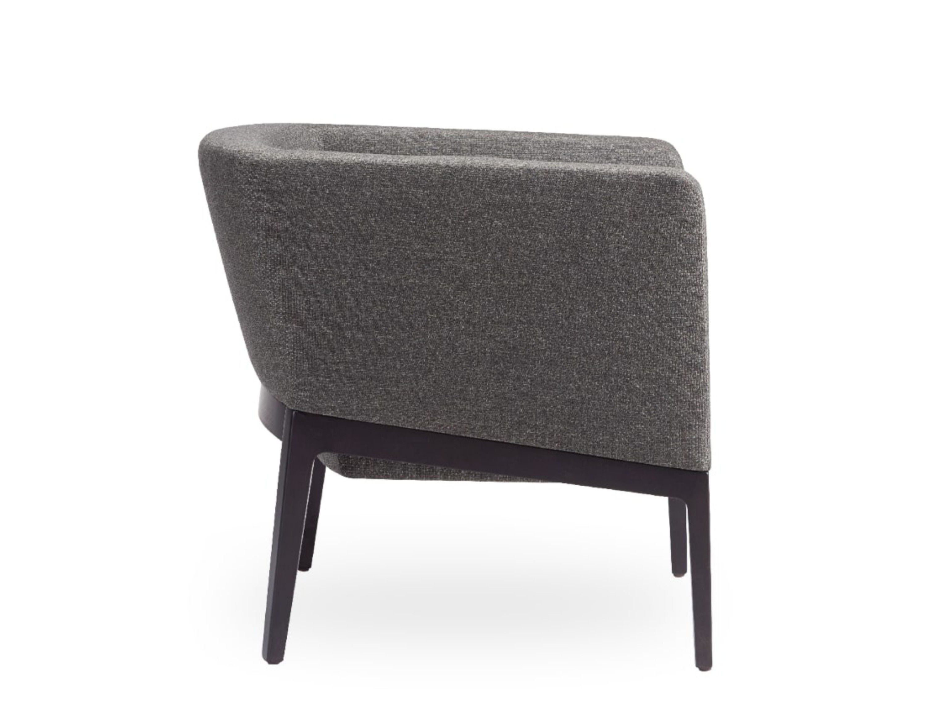 Тканевое кресло с подлокотниками ROSSIN Тонизирующее дерево ARCH-00030042 - Вид №2