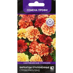 Семена цветов Поиск бархатцы отклоненные Строберри блонд 10 шт. 86218059 STLM-2116684