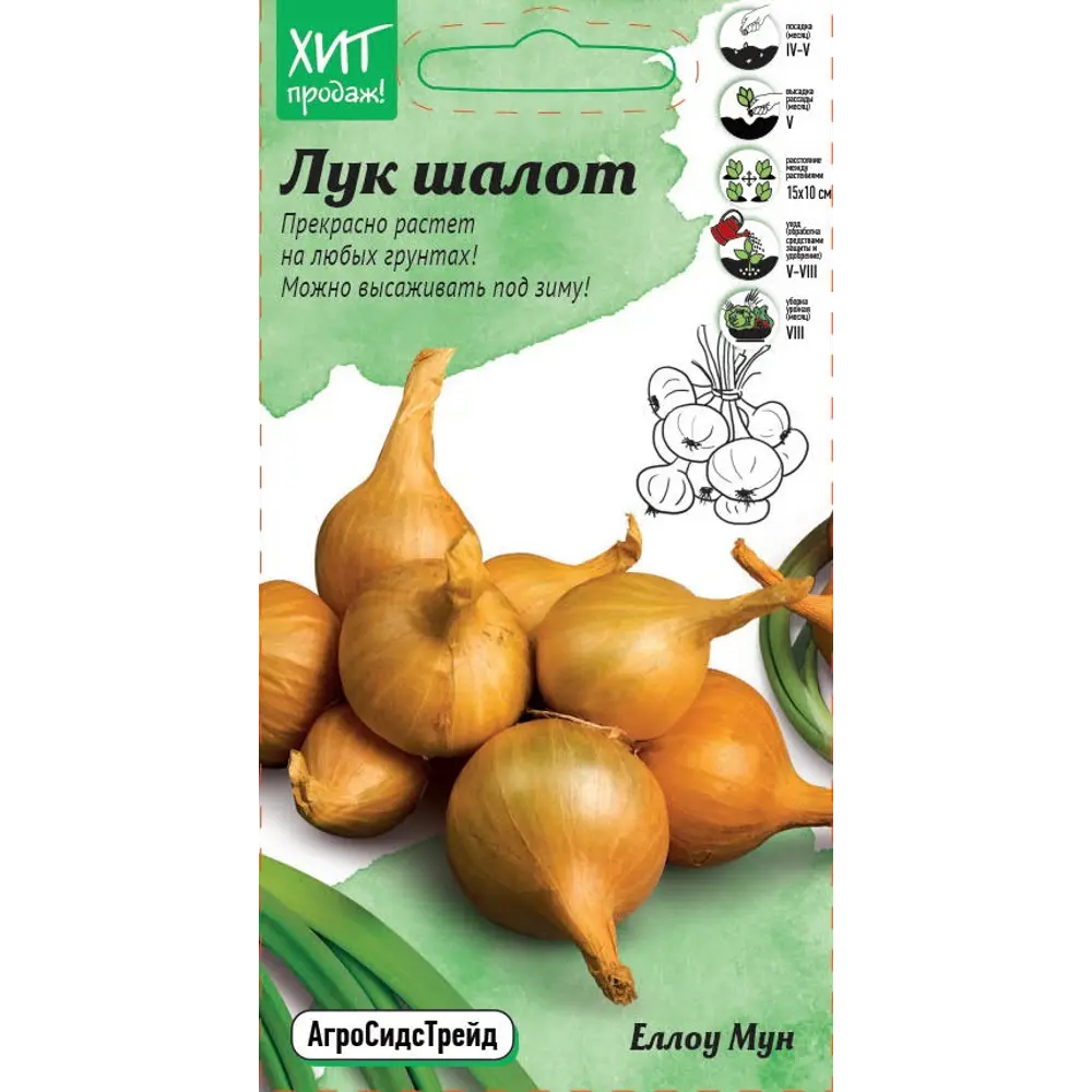 Семена овощей АСТ лук шалот Еллоу Мун 89405277 STLM-2190169 Santreyd 