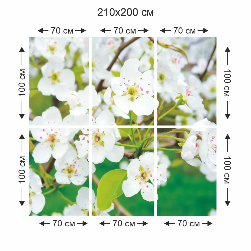 Фотообои Белоснежная яблоня бумажные, 210x200 см Симфония STLM-2200471 - Вид №3