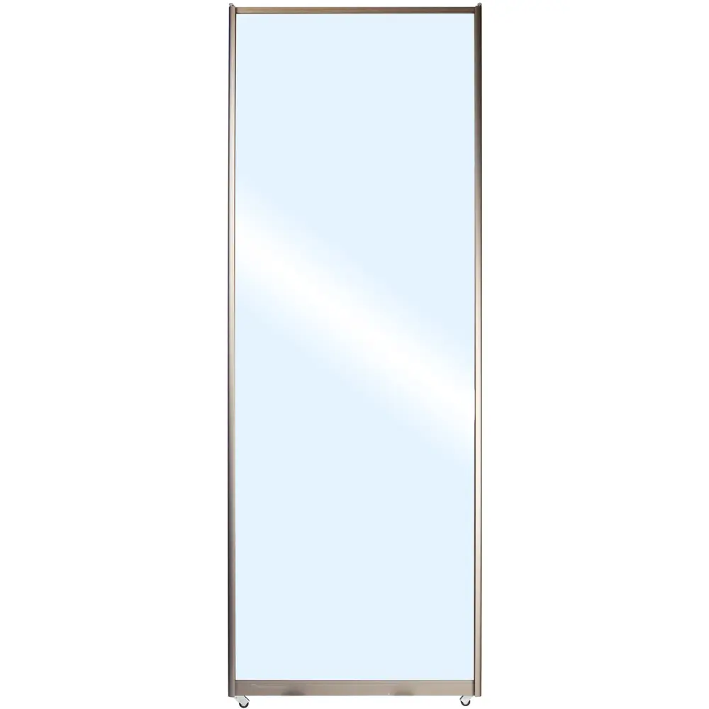 Дверь-купе Spaceo 2555х604 мм зеркало 18338860 STLM-2089010 Santreyd 