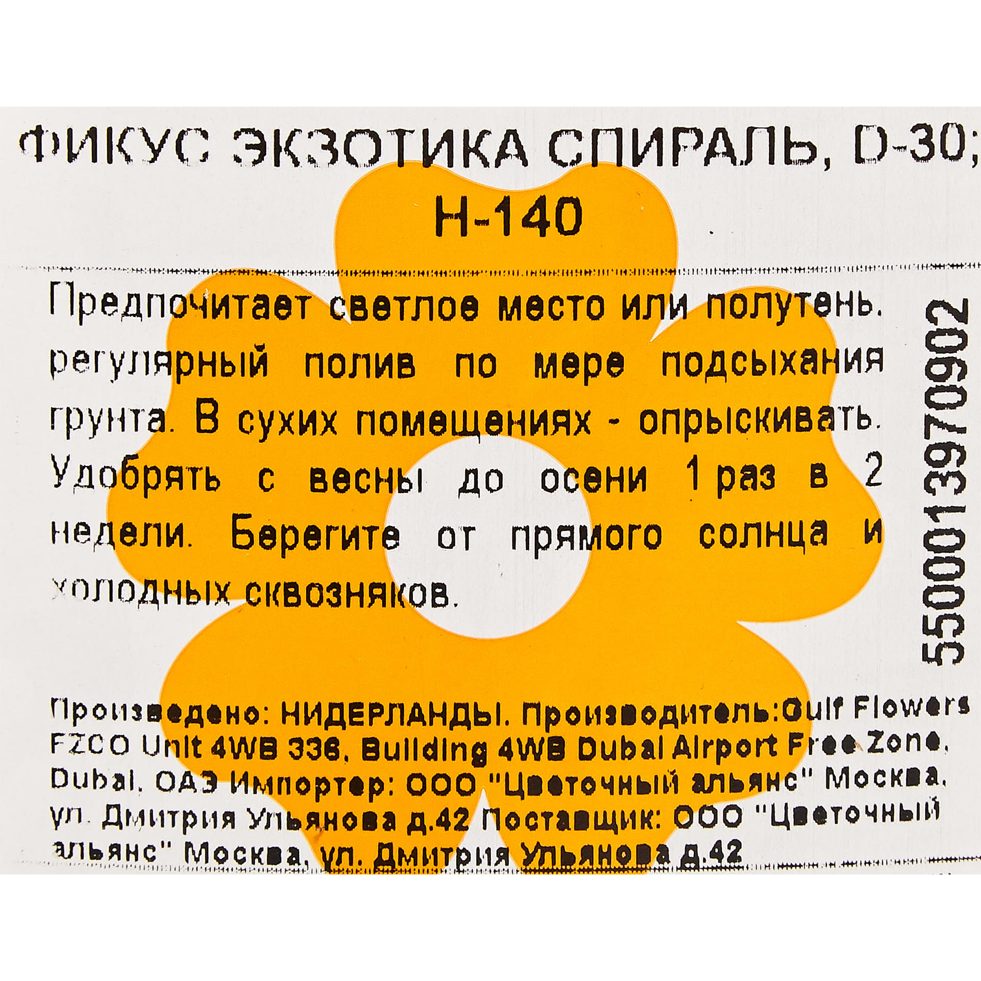 82850348 Фикус "Экзотика спираль" 30х140 см Santreyd  - Вид №2
