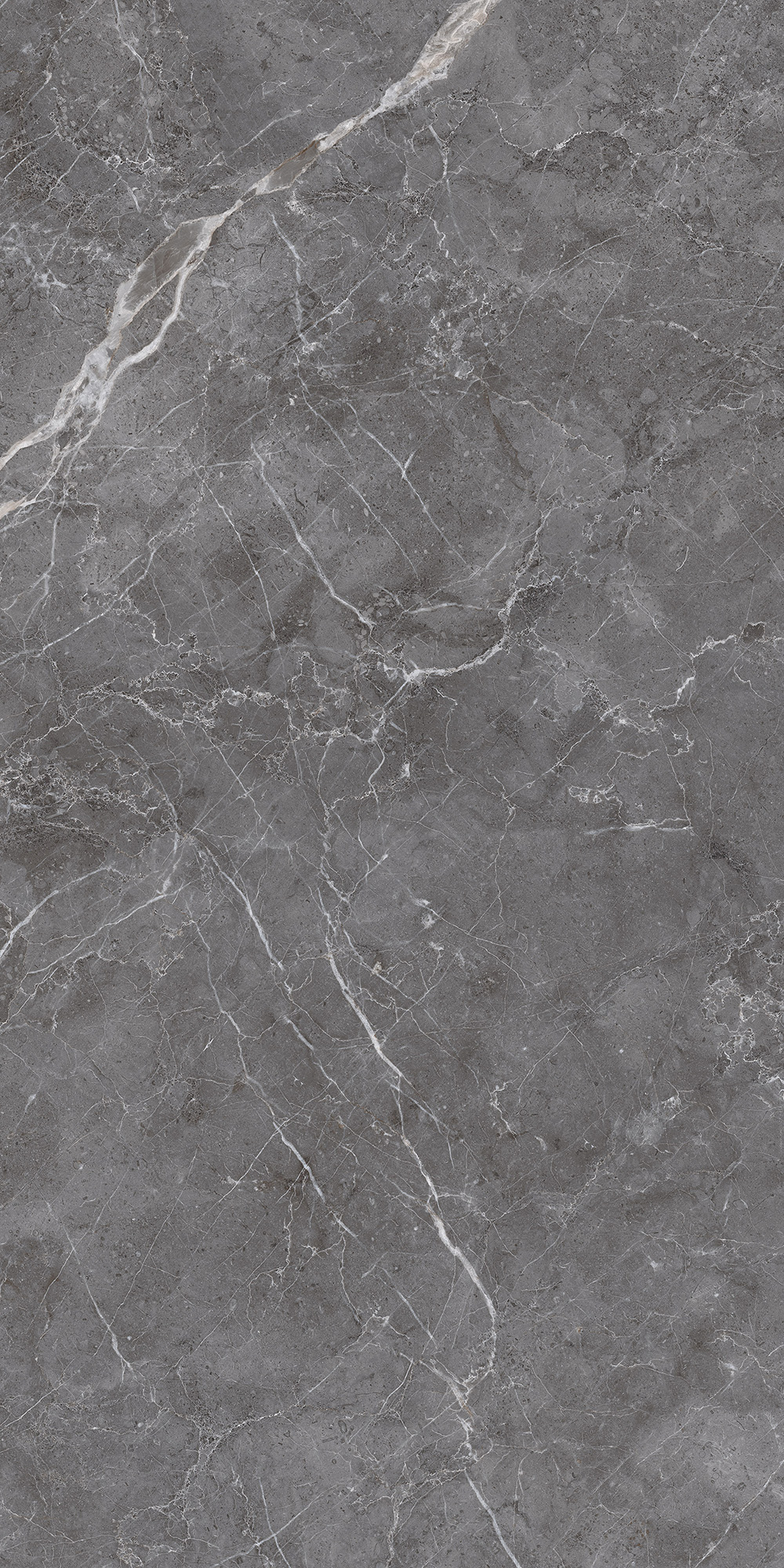 Керамогранит ESPERIA GRIGIO LAPPATO 60х120 Arcadia Ceramica CL4003-A - Вид №3