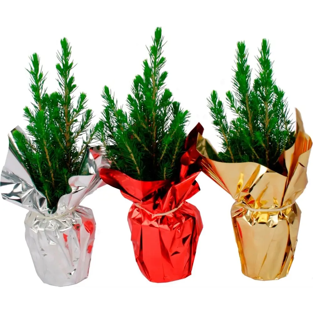 Ель Коника 9x27-33 см, праздничная упаковка Santreyd STLM-2193063