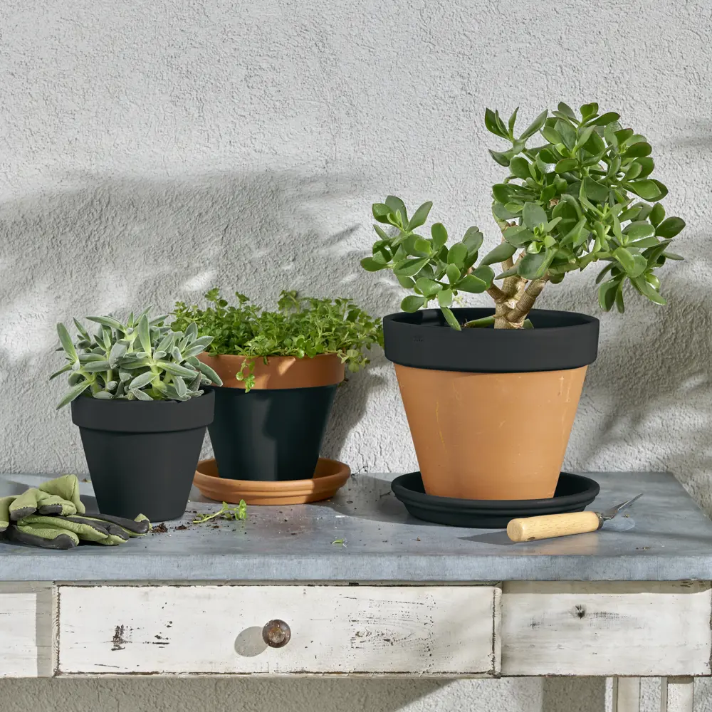 Аэрозольная эмаль Luxens - черная полуматовая для интерьера и улицы 520 мл 83237406 STLM-0039759 - Вид №5