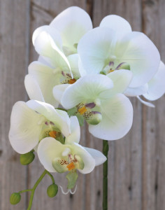 2799 778 a3 Искусственная орхидея Phalaenopsis, 86 см, бежево-белая H-andreas