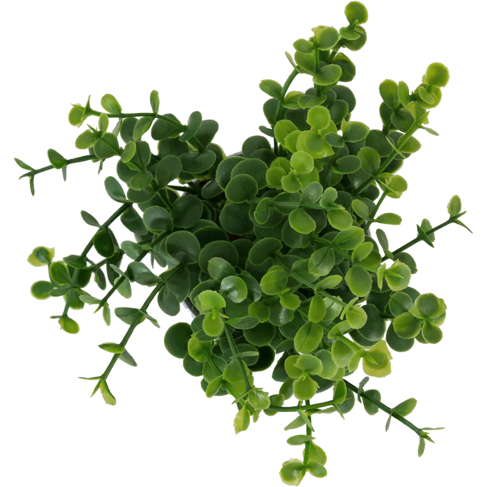 Искусственное растение в металлическом горшке 114754 ø16 h15 см Santreyd STLM-2173474 - Вид №1